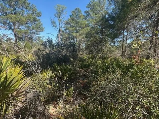 2 of 3 - 10681 Interlacher Drive, Sebring, FL