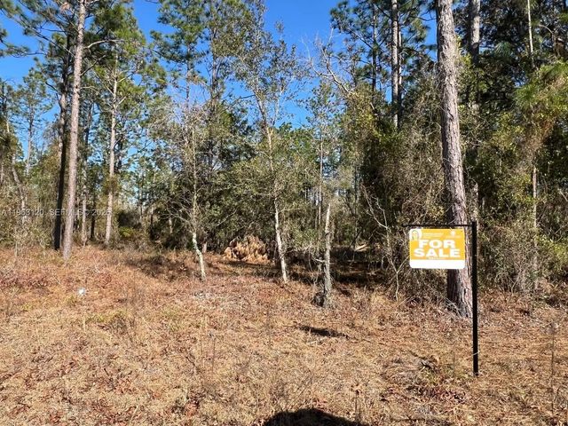 3 of 7 - 000 Rainbow Lakes Estates, , FL