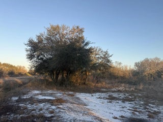 Photo of Listing #R11162841