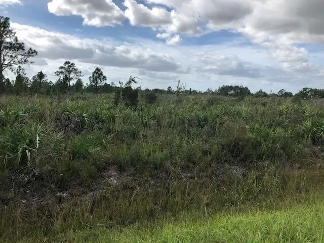 Nnne Undetermined, Ocala