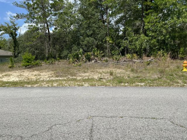 6876 N Sandborn Loop, Citrus Springs
