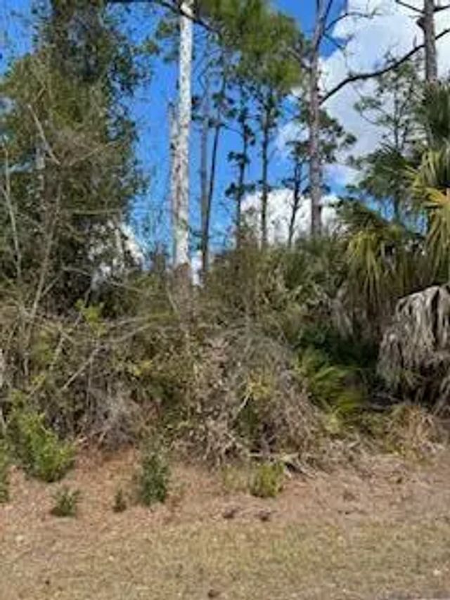 2 of 4 - Xxx Eldron Avenue, North Port, FL