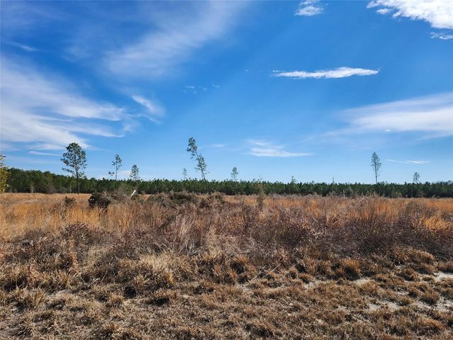Lot 50 Fl-50, Live Oak