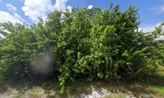 Photo of Listing #R11164483