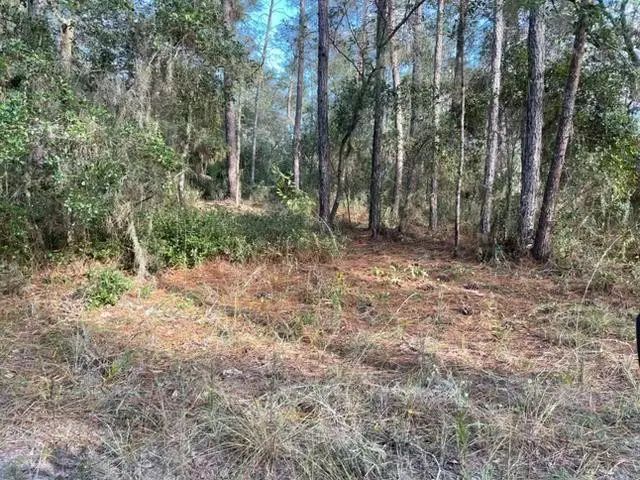 417 Incline, Satsuma