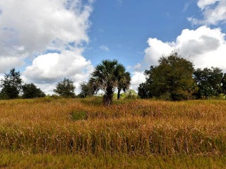 Photo of Listing #F10549090