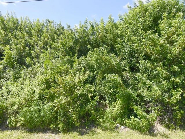 Photo of Listing #F10554079