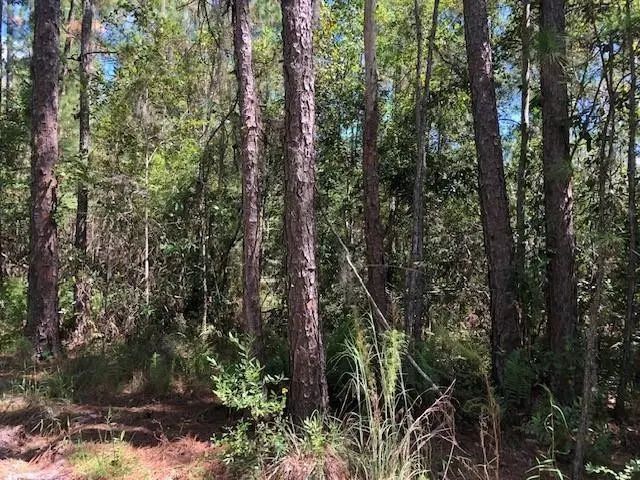 2 of 2 - 0 Old Grade Road, , FL