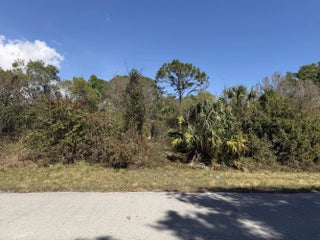 Photo of Listing #R11166119