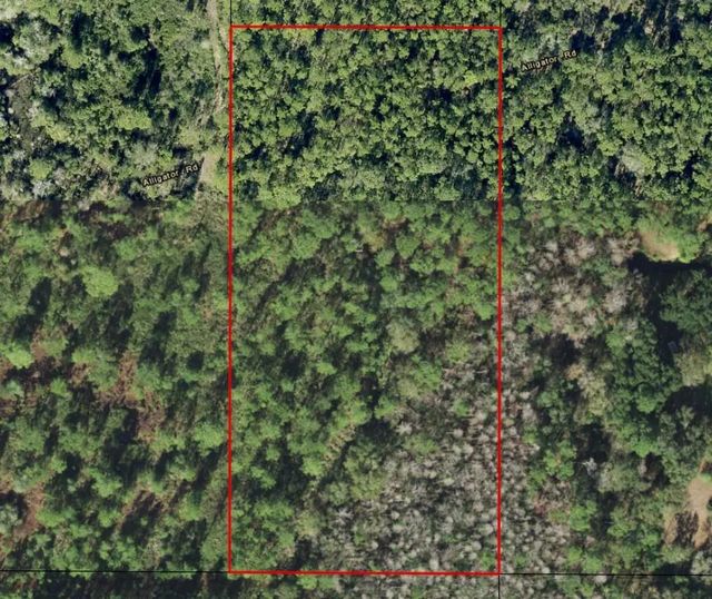 2 of 2 - 0 Alligator Road, Clermont, FL