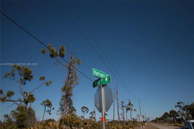 4 of 20 - 26 Harness, , FL