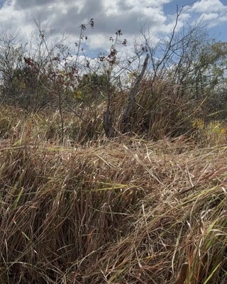 Photo of Listing #R11167398