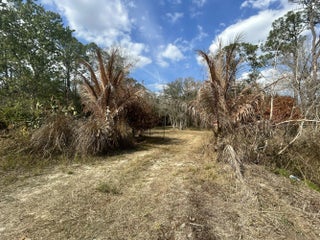 Photo of Listing #R11167798