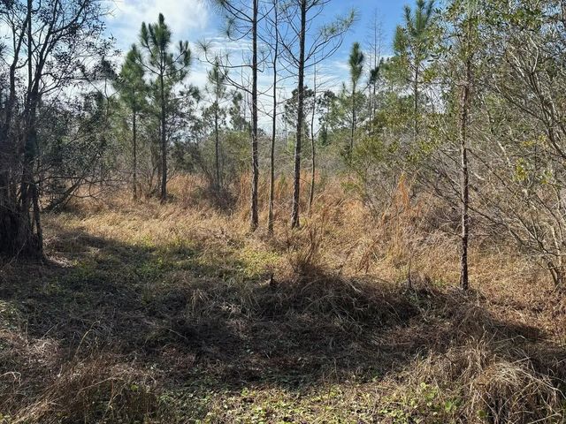 2 of 3 - 0 Old Grade Road, , FL