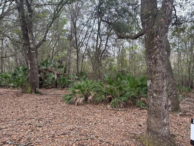 2 of 3 - 0 Old Grade Road, , FL