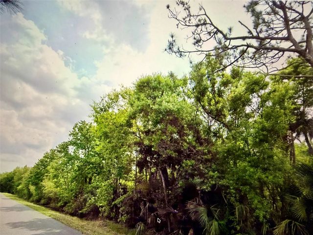 2551 Nw 35th Drive, Okeechobee