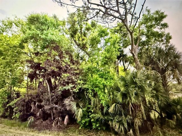2 of 4 - 2551 Nw 35th Drive, Okeechobee, FL
