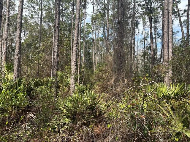 2 of 3 - 0 Old Grade Road, , FL