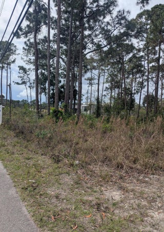 Photo of Listing #F10555976