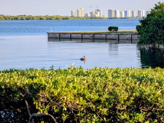 Photo of Listing #R11168442