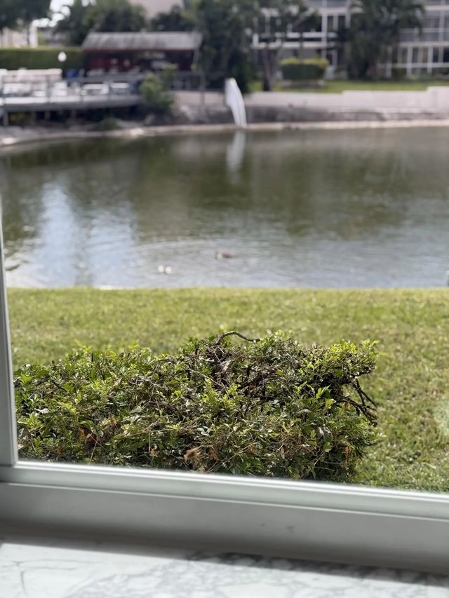 2 of 17 - 2616 N Gardens Drive #105, Lake Worth, FL