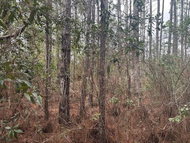 2 of 2 - 0 Old Grade Road, , FL