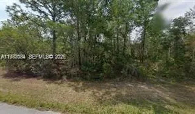 6182 N Buckland Drive, Citrus Springs