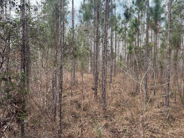 2 of 2 - 0 Old Grade Road, , FL