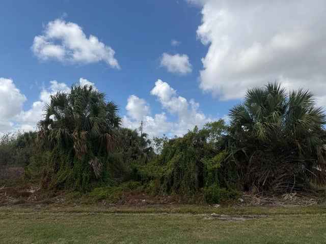 Photo of Listing #R11169737