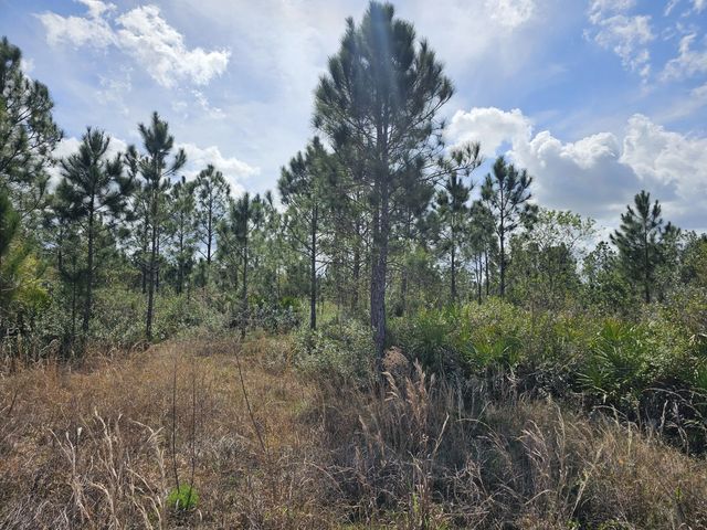 5 of 11 - 17720 Nw 268th Street, Okeechobee, FL