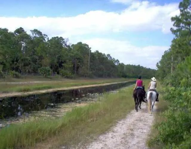 4 of 15 - 1340 Arabian Drive, Loxahatchee, FL