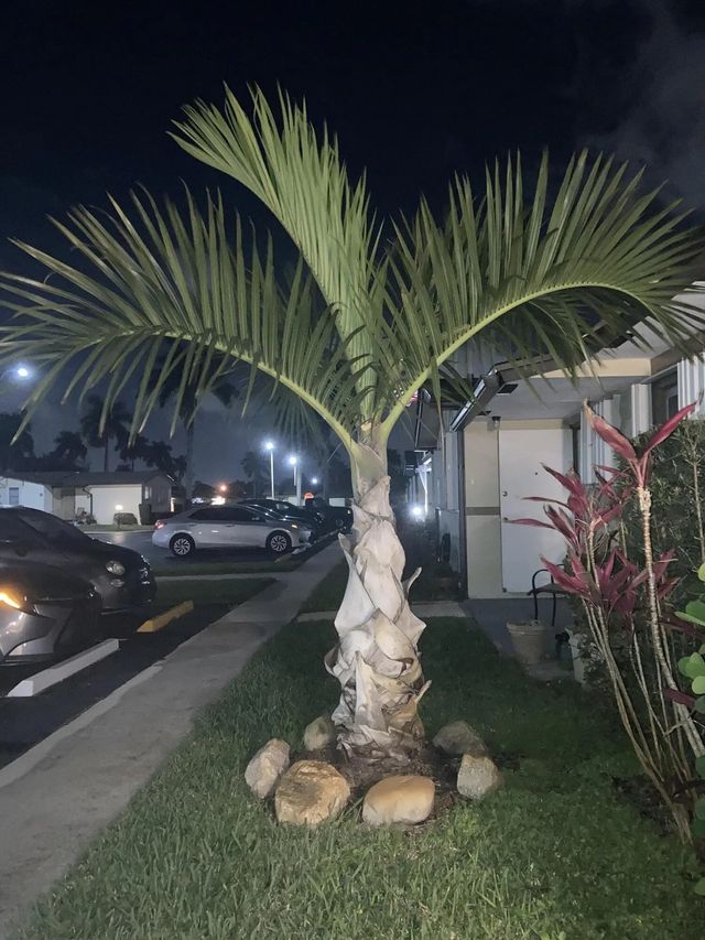 5 of 47 - 2847 Ashley  Drive W #g, West Palm Beach, FL