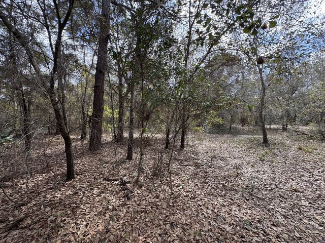 3 of 4 - 000 1st Street, , FL