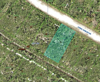 Photo of Listing #B26003334