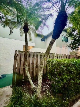 Photo of Listing #B26004364