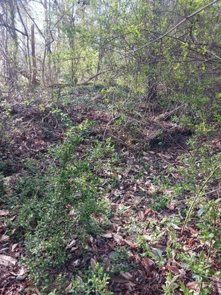 Photo of Listing #B26004090