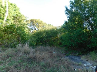 Photo of Listing #B26005750