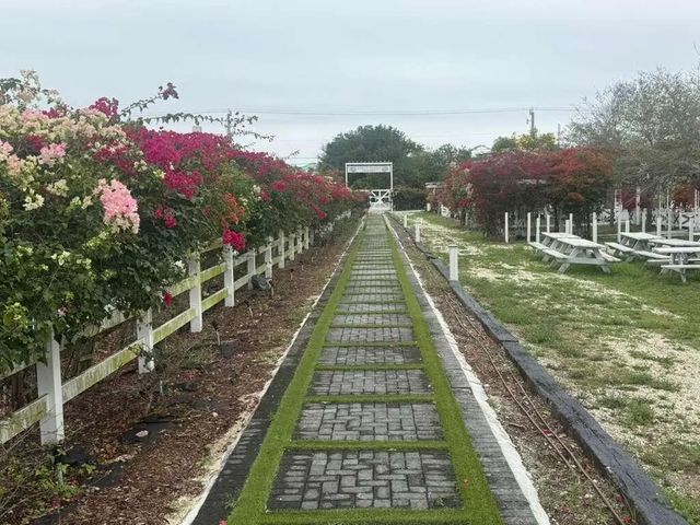 4 of 15 - 4680 Sw 148th Avenue, Southwest Ranches, FL