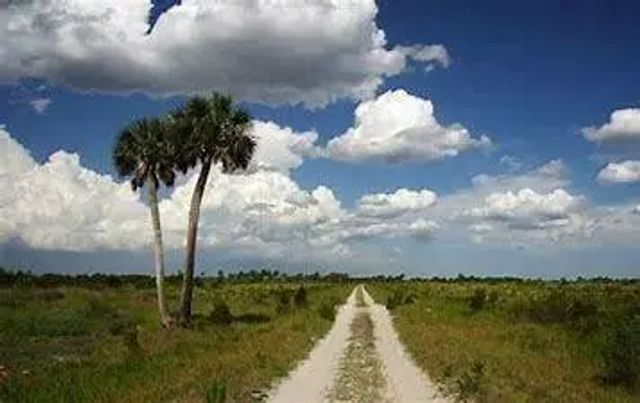 5 of 10 - 19369 Nw 300th  Street, Okeechobee, FL