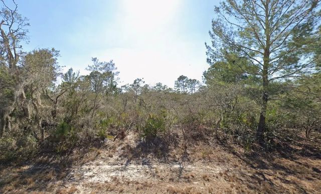 3235 N Dahlia Drive, Lake Placid