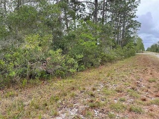 Photo of Listing #B26009227