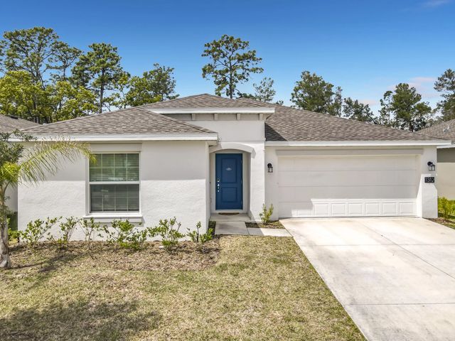 1312 Peach Creek Drive, Osteen