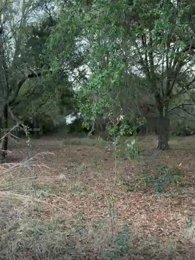 2 of 3 - 10800 S Jefferson Avenue, Lake Placid, FL