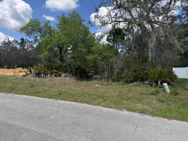 1625 Pickerel Court, Poinciana