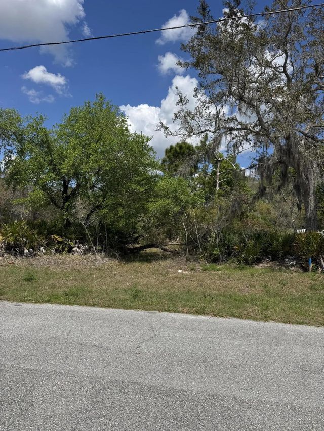 2 of 6 - 1625 Pickerel Court, Poinciana, FL