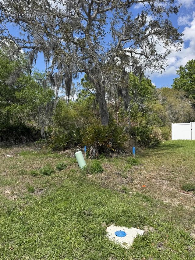 3 of 6 - 1625 Pickerel Court, Poinciana, FL