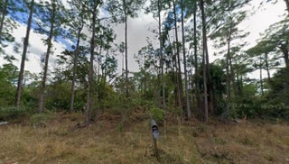 Photo of Listing #B26013914