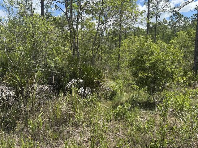 2 of 3 - 0 Holopaw Groves Road, St. Cloud, FL