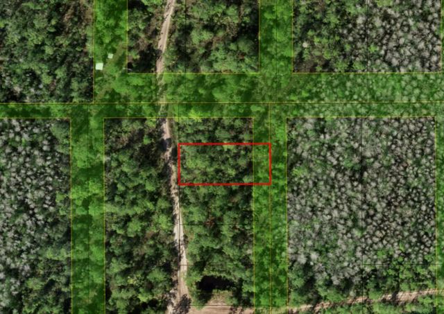 3 of 3 - 0 Holopaw Groves Road, St. Cloud, FL