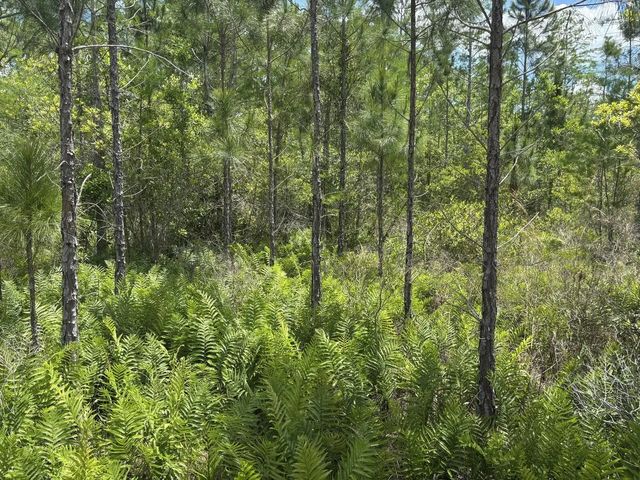2 of 4 - 0 Holopaw Groves Road, St. Cloud, FL